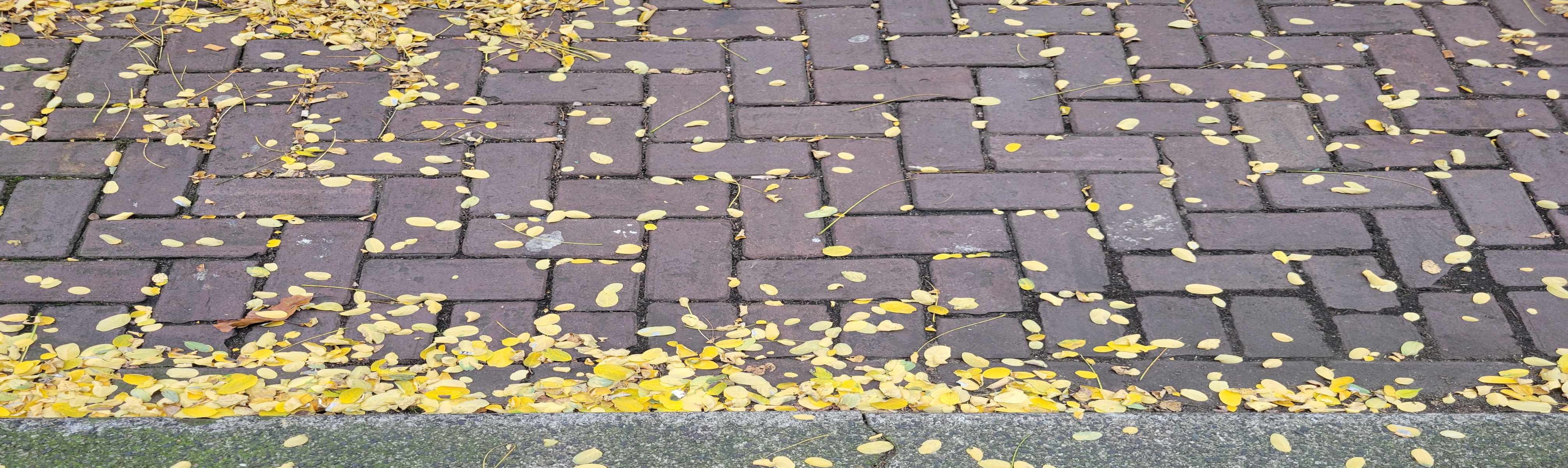 under_our_feet_Amsterdam_2024.jpg