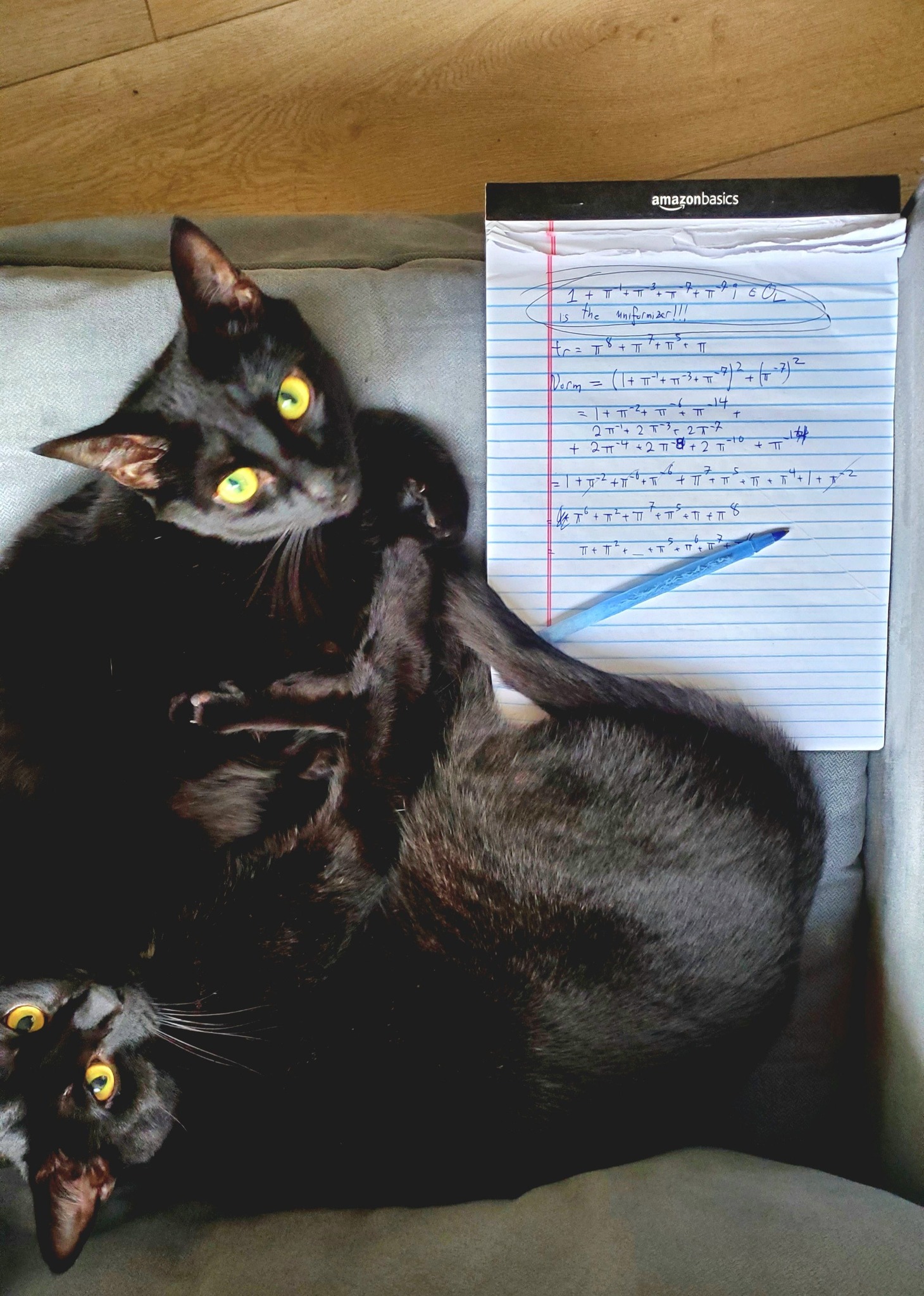 Cattywampus and Kerfluffle with math notes