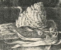 Baja Shell, Eucalyptus and Driftwood, lithograph on chine-collé